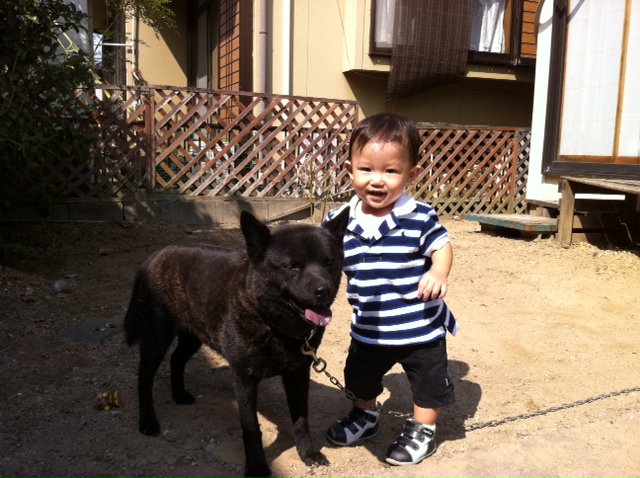 もも(愛犬)と仲良し(ノンちゃん)