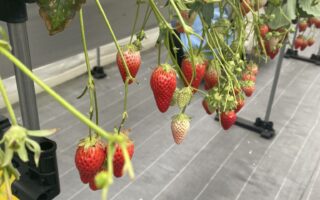 ～日帰り旅行～