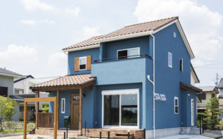 #17 BLUE HOUSE
