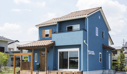 #18 BLUE HOUSE