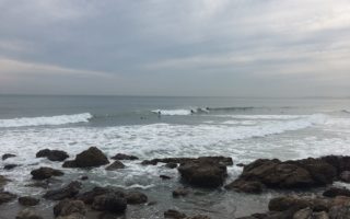 渥美半島☆新鮮！！海鮮ランチ