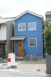 #63 smart blue house