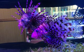 ♪休日の一幕♪