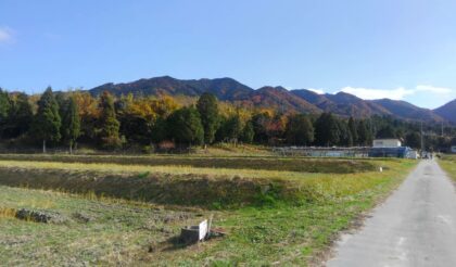 2019紅葉狩り