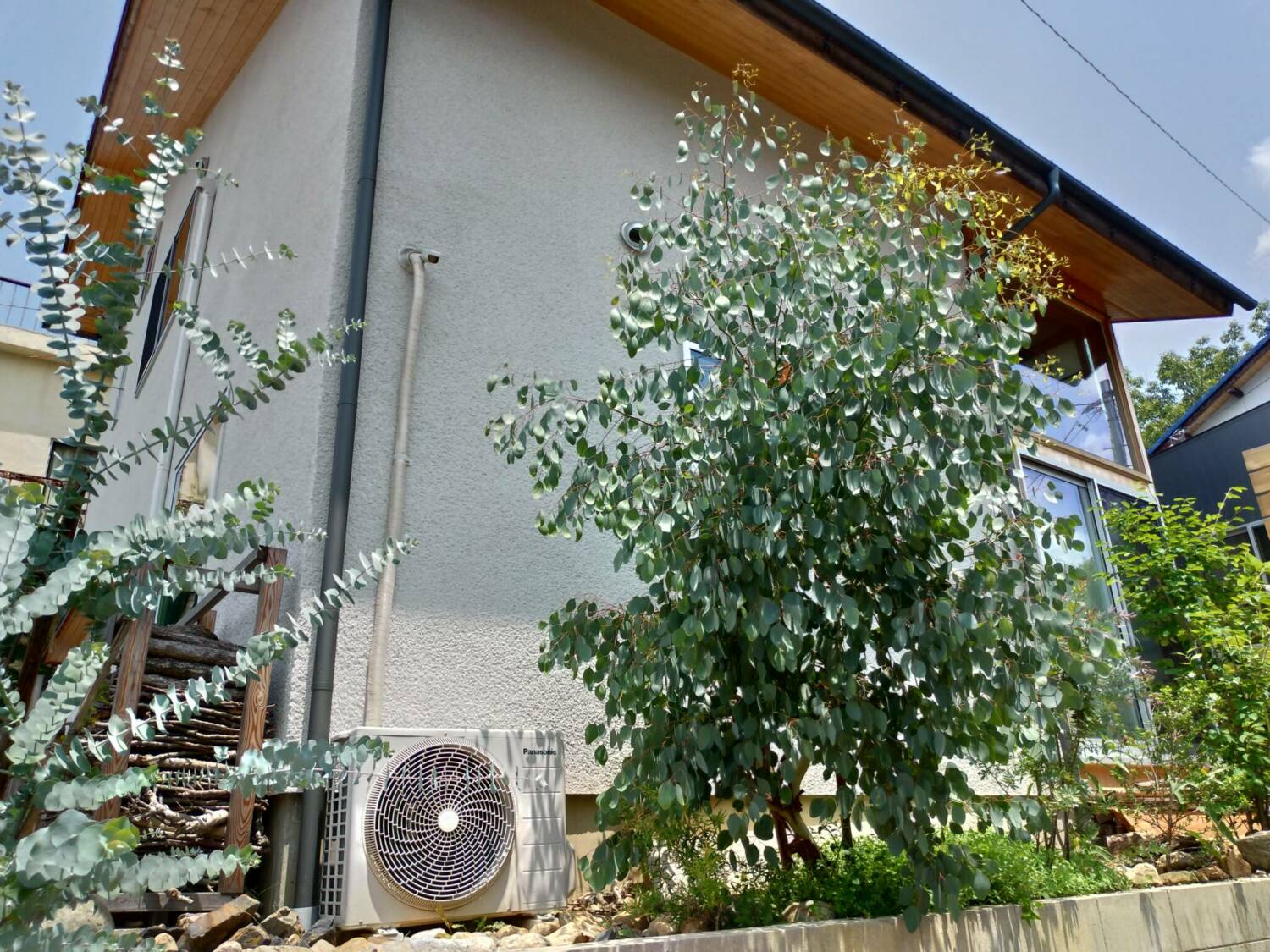 ユーカリのある庭つくり 名古屋 岐阜 小牧 一宮のナチュラルデザインの新築注文住宅 工務店なら善匠