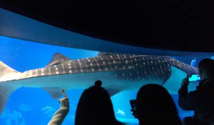 海遊館